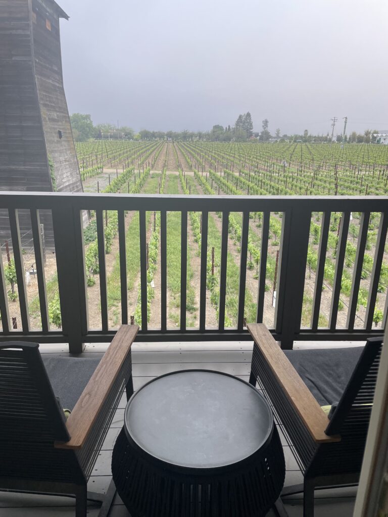 センザホテル　部屋から見えるワイン畑